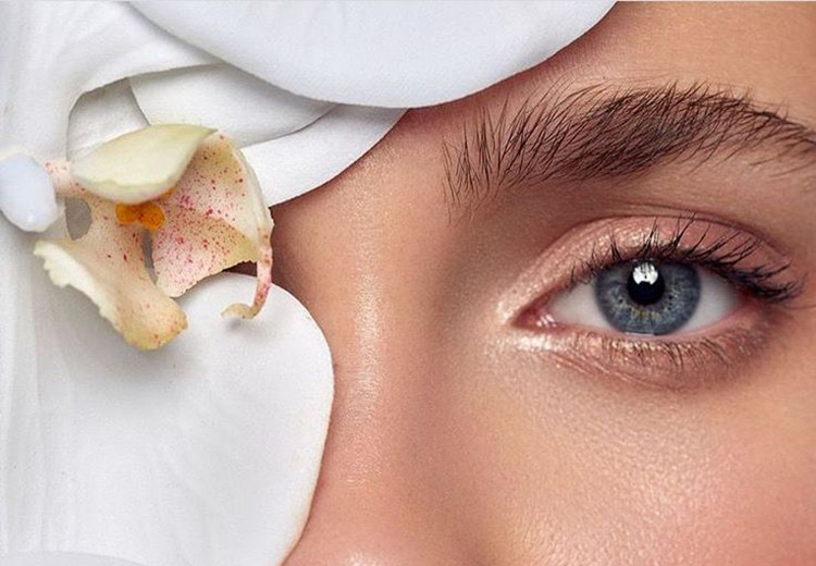 Էսթետիկ և պլաստիկ վիրաբուժություն